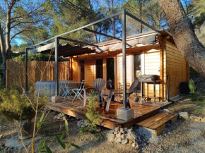 Escapade sous les pins 20m2